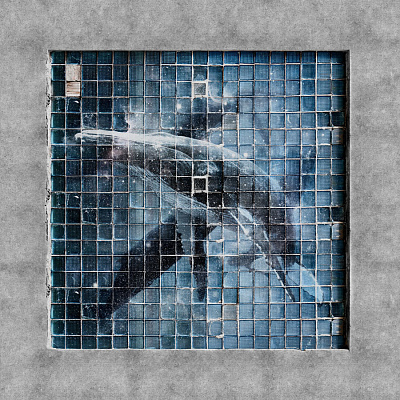 Фотообои BLUE WHALE 1, FAUNA, Factura Фотообои BLUE WHALE 1, FAUNA, Factura